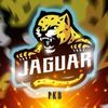 pkbjaguar