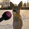 the_guzzler1