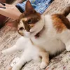 xiang.8y