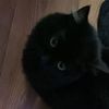 geyhooman