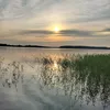 leevi_erkkila
