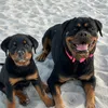 HERA & ARES