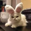 kyara__v