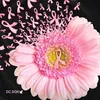 user7305822082013