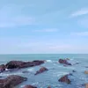 thaithihongthuy