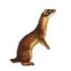weasel1wv