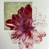 a_20.s