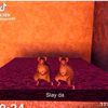 yourpookiebear_6