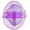 aura_organs_diagnostic