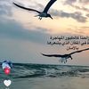 ioo_poo