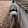 gui_sousa0