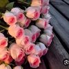 princess__ii