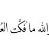ahmedn884