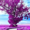 ll_lobato0724