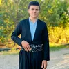 hama12x