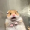 hanibunnnn