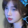 blueberry__1024
