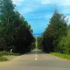 自由人