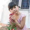 ngoctram9098