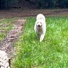 rosita_1185