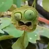auntien0n0