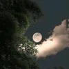 9hnan