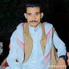 gamal531