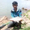 Vinh Tây nguyên 🎣