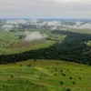 rafaelvinicio63