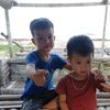 user310223413