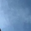 vanessci2