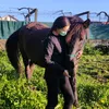 nere.horses