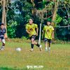 xolek55