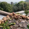 linhduong905