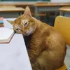 _wq.pr_