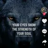 kdogg6660