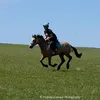 ellequii