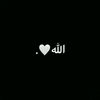 maina_221