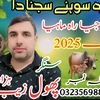 phoolzaibhazarvi