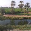 احمدالصعيدي الرفاعي