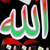 user562620956
