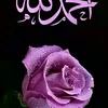 طريق إلى الجنه🌸