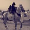 مايهاب و سياف 🐎
