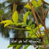 user201543682