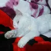 sahrawimoussaoui