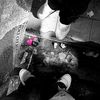 nyc_reinier