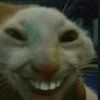 yoni_se123