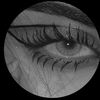 alflwh_5511