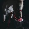rn_37o