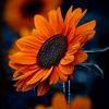 io_love8